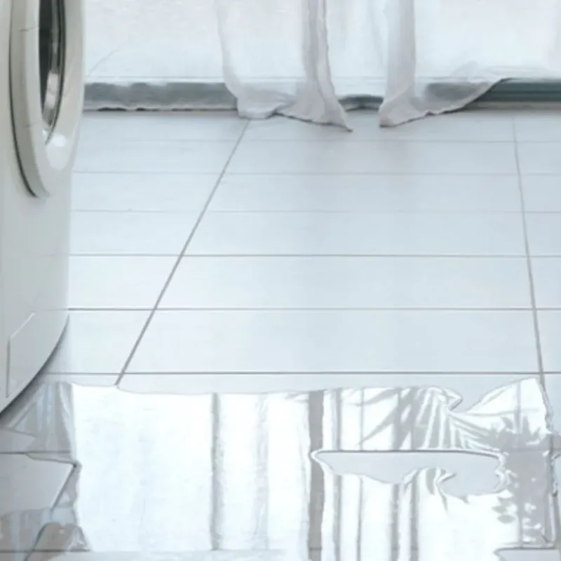 Appliance Leak Cleanup in Lakemoor, IL