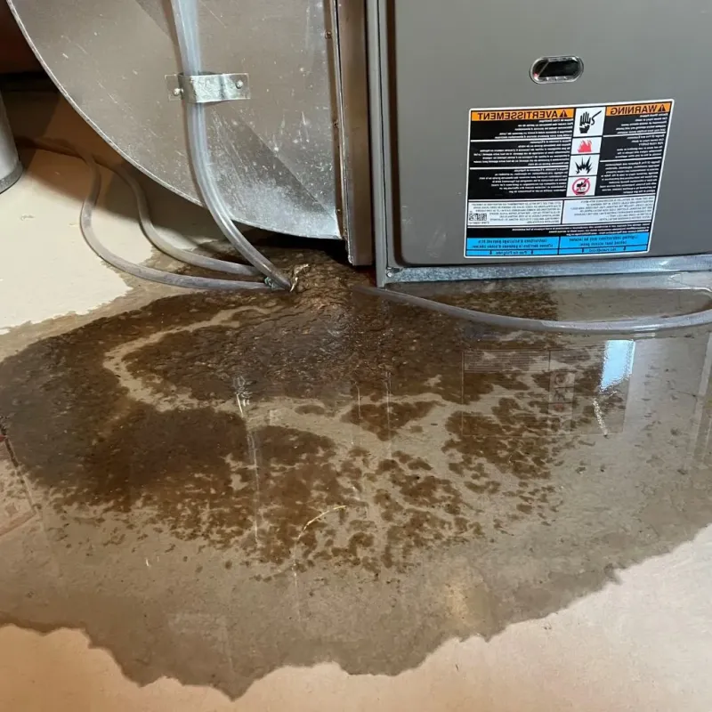 Pipe Burst and Leak Restoration in Lakemoor, IL
