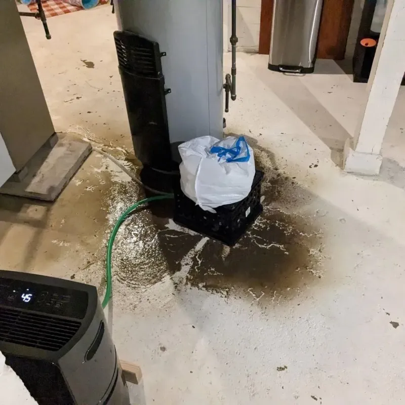 Sewage Backup Cleanup Service in Lakemoor, IL